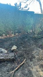 Gratis grond, Ophalen, Tuinaarde