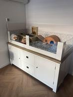 Caviahok met twee cavia’s, Dieren en Toebehoren, Knaagdieren en Konijnen | Hokken en Kooien, Ophalen, 110 cm of meer, Zo goed als nieuw