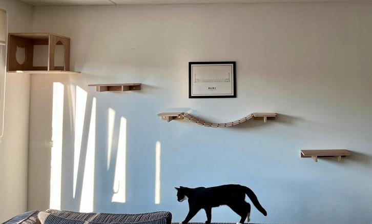 Nieuwe katten klimwand ., Dieren en Toebehoren, Katten-accessoires, Nieuw, Ophalen