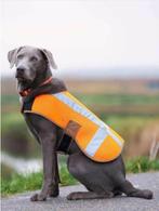 Carhartt Dog Safety Vest, honden veiligheidsvest | Large, Ophalen of Verzenden, Nieuw, Hondenvest