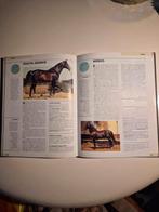 Paarden encyclopedie!, Ophalen of Verzenden, Gelezen, Dieren, Los deel