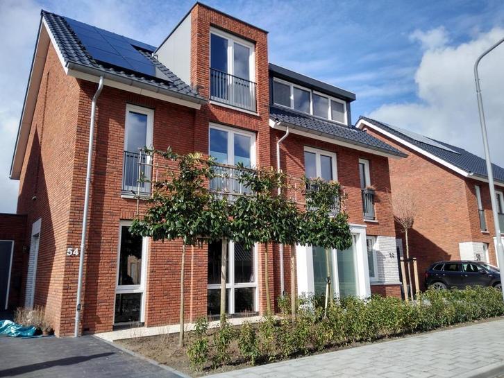 Lei en Dakbomen, Tuin en Terras, Planten | Bomen, Leiboom, 250 tot 400 cm, Volle zon, Zomer, Ophalen