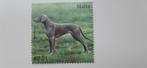 Postzegels Malta Honden 2020, Dier of Natuur, Verzenden, Postfris