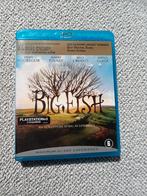 Big Fish, Ophalen of Verzenden, Zo goed als nieuw, Avontuur