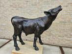 BRONZEN KALF AAN OPRUIMPRIJS 2450 IPV 3500 AANTOONBAAR !!!, Ophalen of Verzenden, Nieuw, Overige materialen, Dierenbeeld