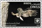 2019 Tonga Fauna Roofvogels Uil, Postzegels en Munten, Postzegels | Thematische zegels, Ophalen of Verzenden, Dier of Natuur, Postfris