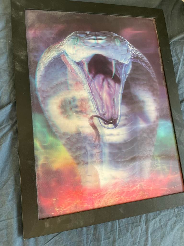 Cobra Poster, Ophalen of Verzenden, Zo goed als nieuw, Foto of Poster, Minder dan 50 cm