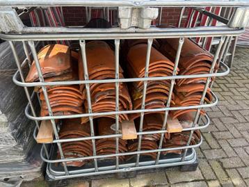 Kraagloze vorsten natuurrood beschikbaar voor biedingen