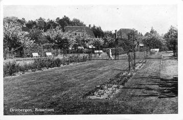 (388-396-041) Driebergen-Rijsenburg Rosarium beschikbaar voor biedingen