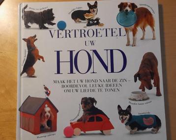 Vertroetel uw hond beschikbaar voor biedingen
