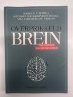 Overprikkelend brein - Charlotte Labee, Ophalen of Verzenden, Zo goed als nieuw, Overige onderwerpen, Charlotte Labee