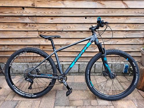 Giant Terrago xc 29 mtb, Fietsen en Brommers, Fietsen | Mountainbikes en ATB, Gebruikt, Giant, Hardtail, Ophalen