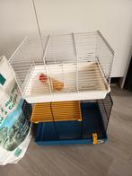 Hamster hokken, Dieren en Toebehoren, Knaagdieren en Konijnen | Hokken en Kooien, Kooi, Minder dan 75 cm, Hamster, Ophalen