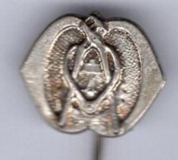 Regiment technische Troepen zilverkl speldje ( P_088a ) beschikbaar voor biedingen