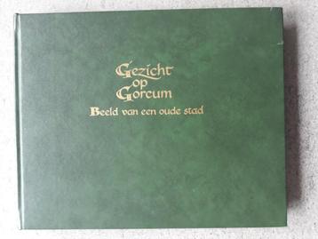 Gezicht op Gorcum beschikbaar voor biedingen
