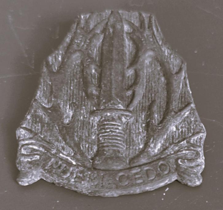 Oud embleem Stoottroepen - Adv 27, Verzamelen, Militaria | Algemeen, Landmacht, Embleem of Badge, Nederland, Ophalen of Verzenden