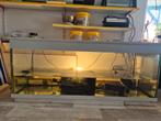 Gratis : Aquarium (compleet) met verwarming en pomp, Januari, Meerdere dieren