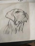 Hond, Ophalen of Verzenden