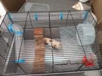 Hamsterkooi, Dieren en Toebehoren, Knaagdieren en Konijnen | Hokken en Kooien, Ophalen of Verzenden, Zo goed als nieuw, Kooi, Minder dan 60 cm