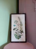 Vintage botanisch schilderijtje, Ophalen of Verzenden