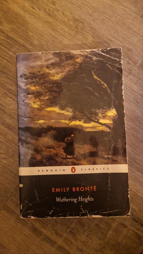 Wuthering Heights - Emily Brontë (Penguin Classics), Boeken, Literatuur, Gelezen, Europa overig, Ophalen of Verzenden