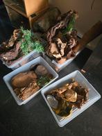 Terrarium aankleding, Ophalen