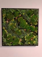 Mosschilderij 65 x 65 cm, Antiek en Kunst, Ophalen
