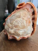 Schelp camee - schelp bewerkt + gemerkt, Ophalen of Verzenden