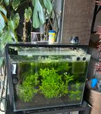 Superfish aquarium home 80 + eheim 2211 filter, Ophalen of Verzenden, Zo goed als nieuw, Leeg aquarium