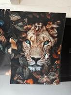 Lion & lioness 50x70, Ophalen, Schilderij, Minder dan 50 cm