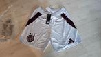 Ajax UIT 3e Short! Seizoen 24/25! Mt XL! NIEUW!, Ophalen of Verzenden, Voetbal, Rood, Maat 56/58 (XL)