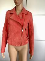 E233 echt-suede-leren jasje mt S=36 licht biker jack leer, Kleding | Dames, Jasjes, Kostuums en Pakken, MNG, Ophalen of Verzenden