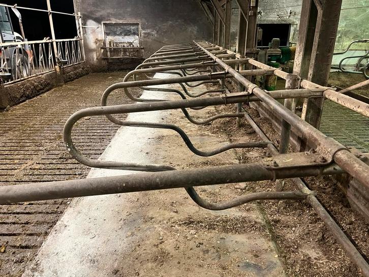 Ligboxen grootvee/jongvee met matrassen/stalinrichting, Dieren en Toebehoren, Stalling en Weidegang, Stalling