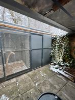 Bewezen  koppel rosé kaketoes inclusief volière, Meerdere dieren, Papegaai, Geringd