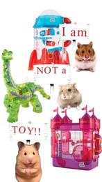 Hamster verzorging, Dieren en Toebehoren, Ophalen of Verzenden