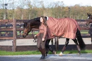 Harry s horse Rijbroek Ladis Full Grip beschikbaar voor biedingen
