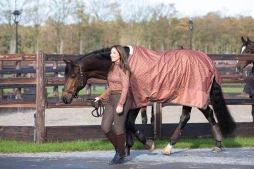 Harry s horse Rijbroek Ladis Full Grip, Dieren en Toebehoren, Paardrijkleding, Nieuw, Dames, Onderkleding, Dressuur, Ophalen of Verzenden