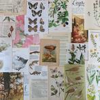 Vintage en antiek papier 116 p botanisch tekst gemengd, Hobby en Vrije tijd, Scrapbooking, Ophalen of Verzenden