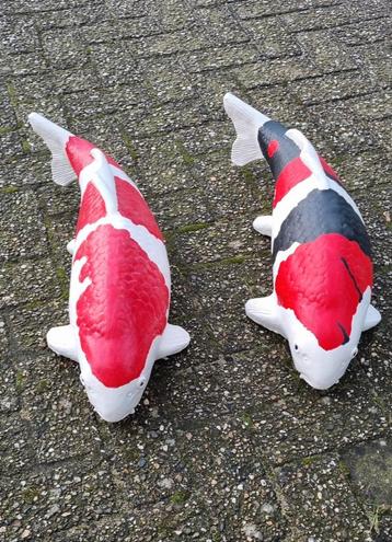 Fraaie Grote Koi Karper Beelden beschikbaar voor biedingen