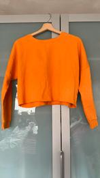 Oranje Cropped Trui Primark Maat S, Ophalen of Verzenden, Gedragen, Maat 36 (S), Oranje