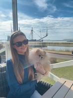Uitlaatservice / honden oppas aan huis  Meppel & omgeving, Uitlaatservice