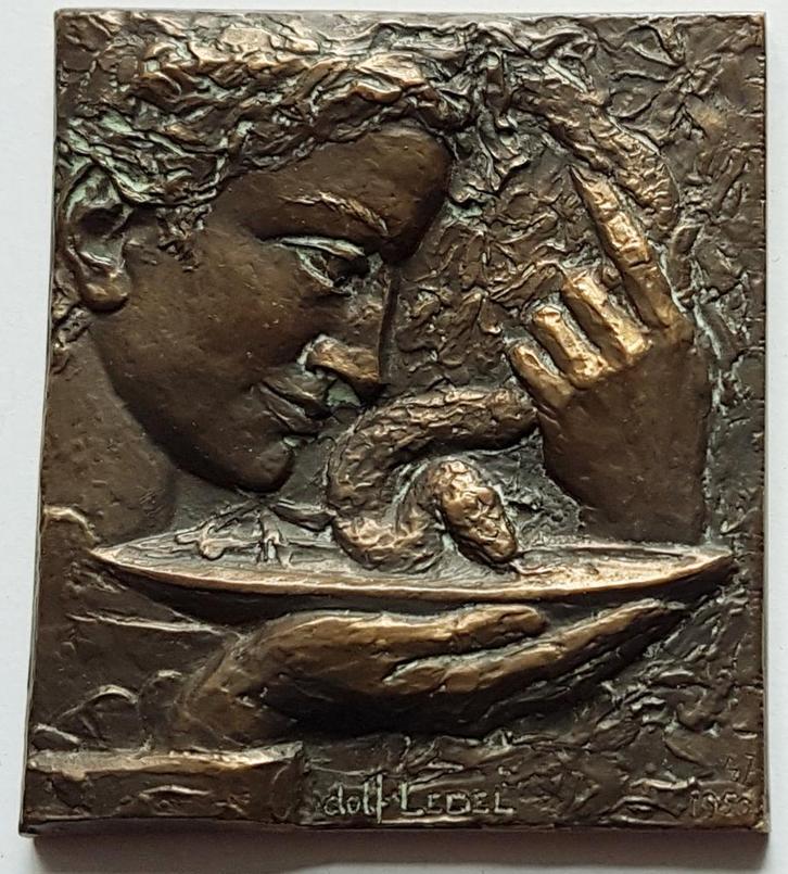 Oude medailles van o.a. Wyhaux Bonnetain Emonds Alt RAU enz, Postzegels en Munten, Penningen en Medailles, Brons, Ophalen of Verzenden