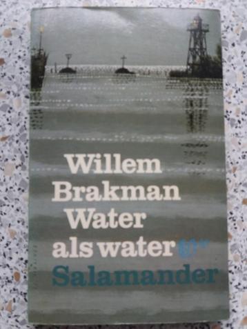 "Water als Water", geschreven door : Willem Brakman. beschikbaar voor biedingen