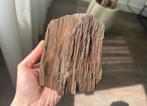 Versteend hout, Verzamelen, Mineralen en Fossielen, Verzenden, Fossiel