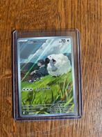 Wooloo 170, Ophalen of Verzenden, Nieuw, Losse kaart