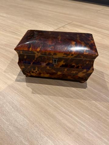 Vintage Schildpad Doosje beschikbaar voor biedingen