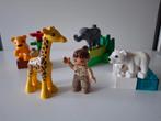 Duplo 4962. Babyzoo, Kinderen en Baby's, Speelgoed | Duplo en Lego, Ophalen of Verzenden, Zo goed als nieuw, Duplo