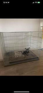 Honden bench, Dieren en Toebehoren, Ophalen, Gebruikt