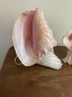 Schelp lamp antiek groot, Antiek en Kunst, Antiek | Lampen, Ophalen of Verzenden