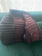 Prada jas, Kleding | Heren, Jassen | Winter, Ophalen of Verzenden, Zo goed als nieuw, Zwart